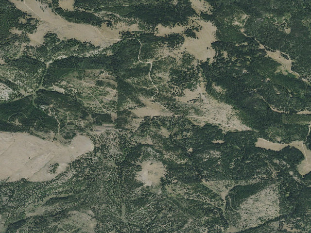 Aerial image of Rabbit Creek Rd 6490-1