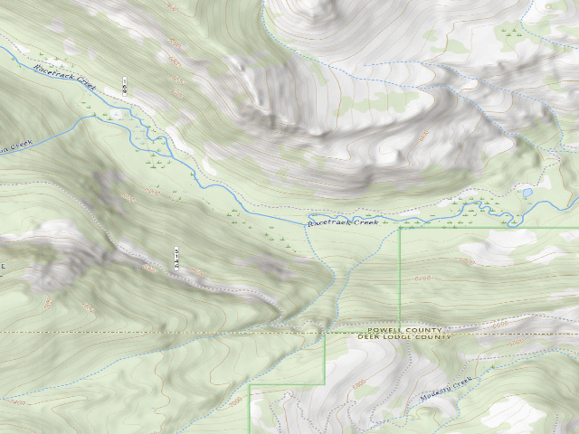 USGS topographic map of Racetrack Creek-004