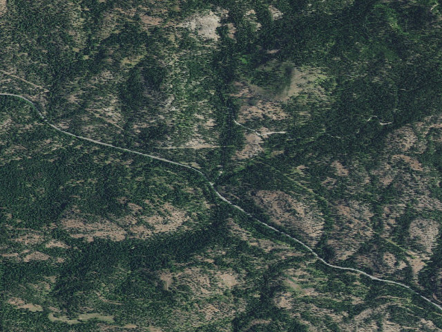 Aerial image of Raddue Forest Camp