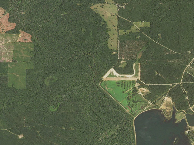 Aerial image of Rainey Wells Primitive Camping