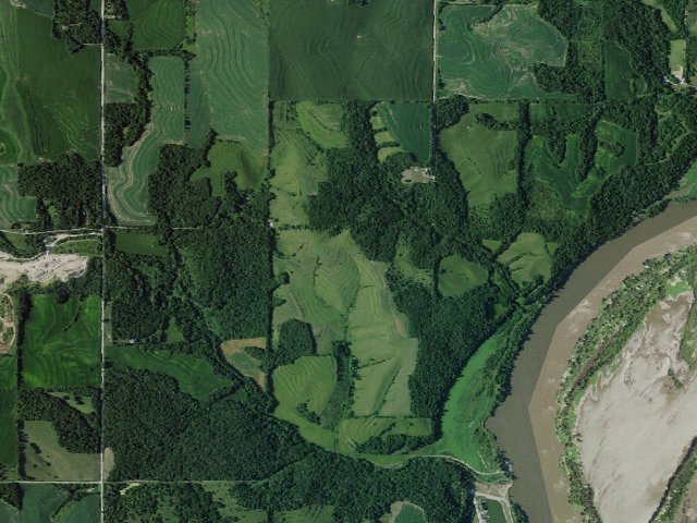 Aerial image of Rakes Creek WMA