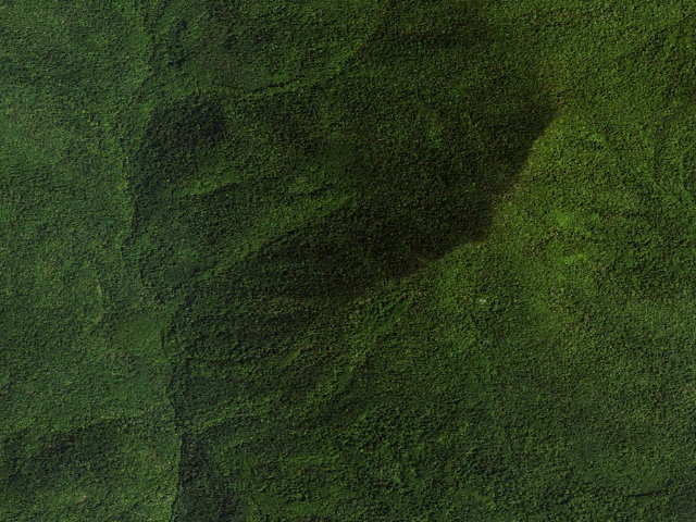 Aerial image of Rapidan WMA