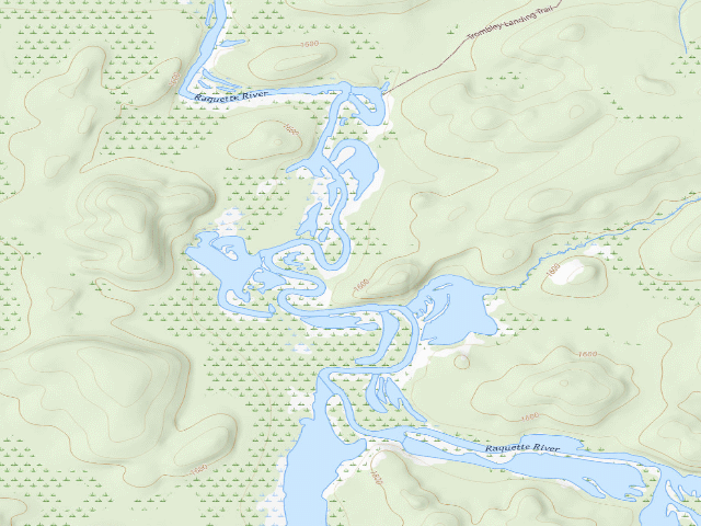 USGS topographic map of Raquette River Site 8 (Saranac Lakes Wild Forest)