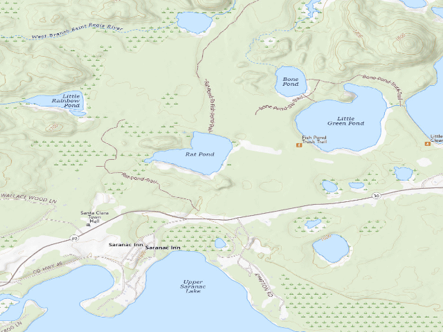 USGS topographic map of Rat Pond Campsite (Saranac Lakes Wild Forest)
