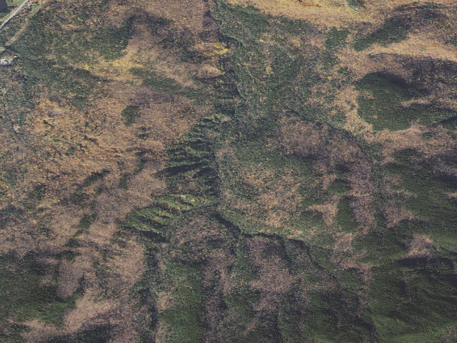 Aerial image of Rattle River Shelter