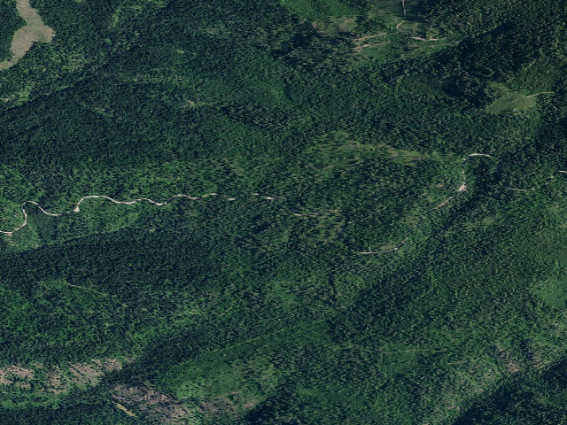 Aerial image of Rd 202 Site 2