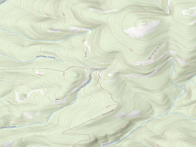 USGS topographic map of Rd 202 Site 4
