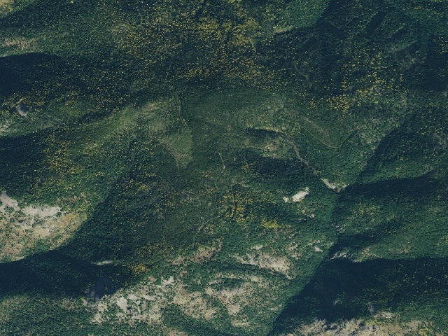Aerial image of Rd 2360 Site 6