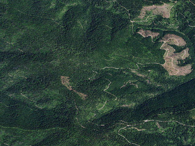 Aerial image of Rd 406 Site 1