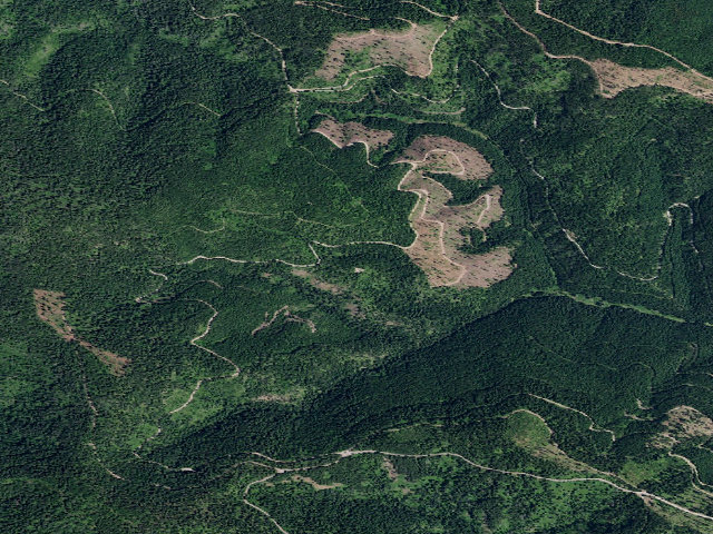 Aerial image of Rd 406 Site 2A
