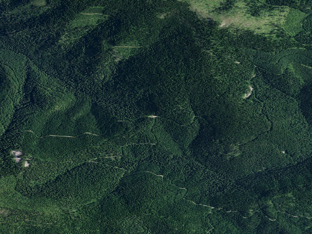 Aerial image of Rd 434 Site 2