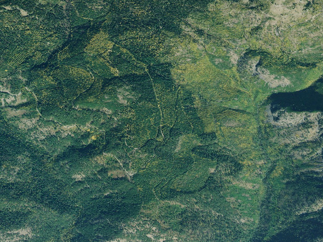 Aerial image of Rd 4444 Camp