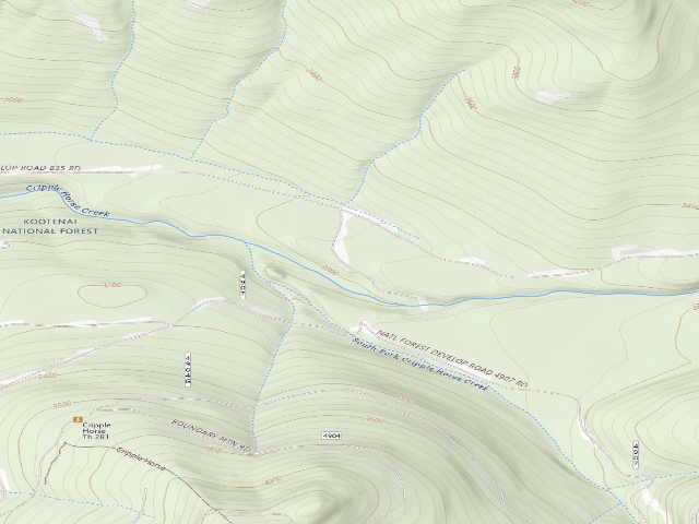 USGS topographic map of Rd4906B Site 2