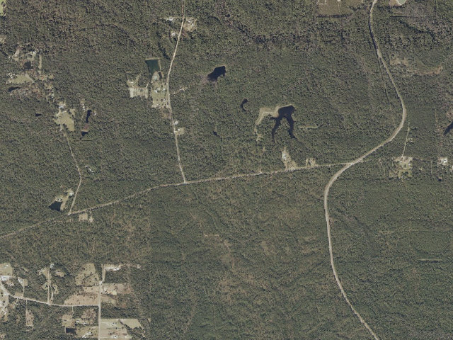 Aerial image of Red Creek WMA camp site 1