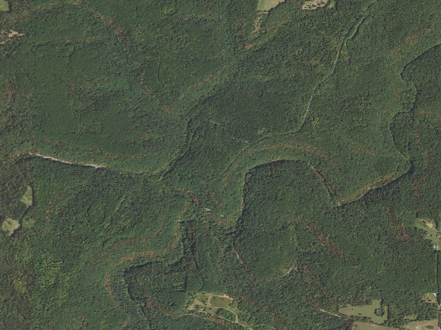 Aerial image of Redbud - Bell Smith Springs