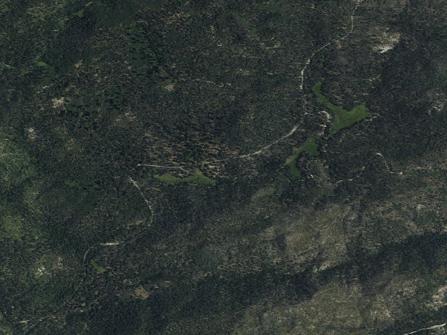 Aerial image of Redwood Meadow