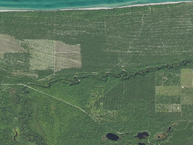 Aerial image of Reed & Green Bridge State Forest Campground