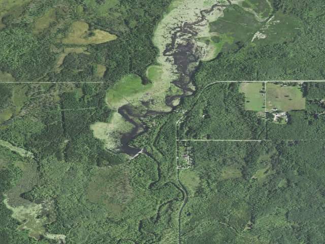 Aerial image of Reedsburg Dam State Forest Campground