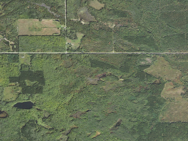 Aerial image of Reid Lake Backcountry Campsites