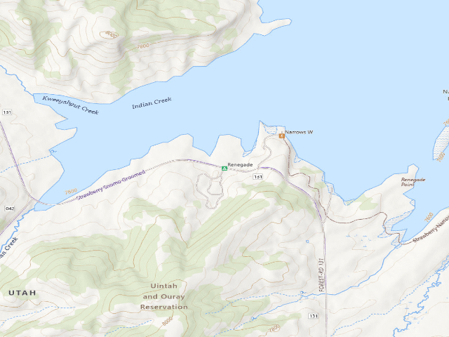 USGS topographic map of Renegade