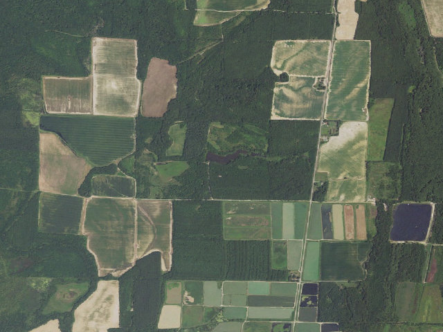 Aerial image of Rex Hancock Black Swamp Camping Area #1