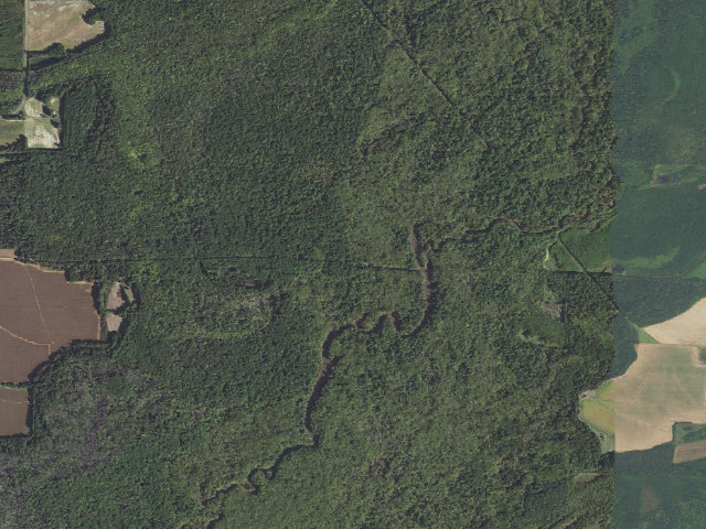 Aerial image of Rex Hancock Black Swamp Camping Area #2