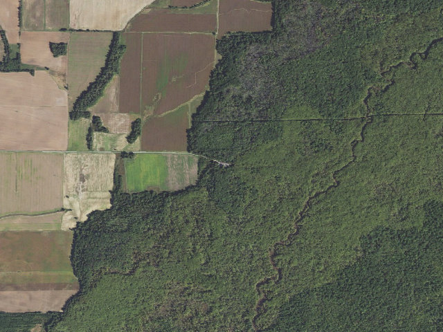 Aerial image of Rex Hancock Black Swamp Camping Area #3