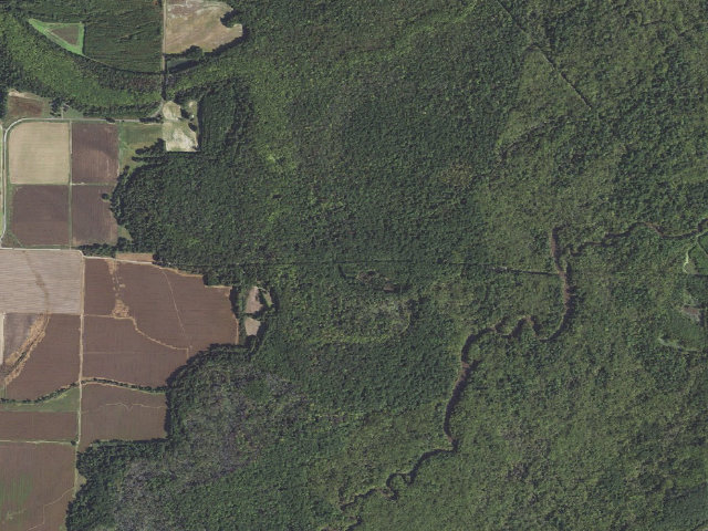 Aerial image of Rex Hancock Black Swamp Camping Area #4