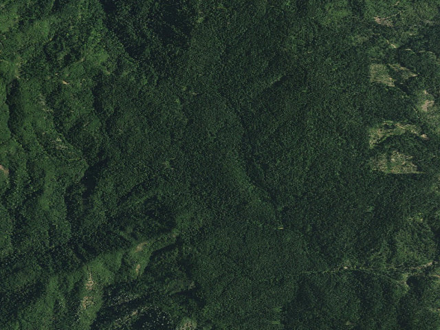 Aerial image of Reynolds Basin