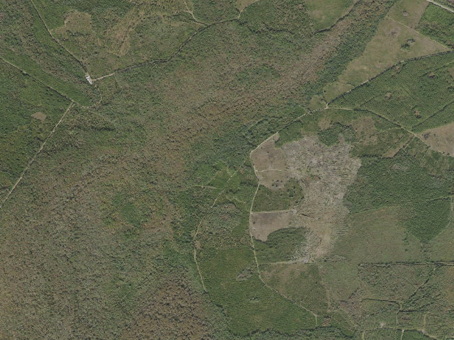 Aerial image of Rice Creek Conservation Area individual site with shelter
