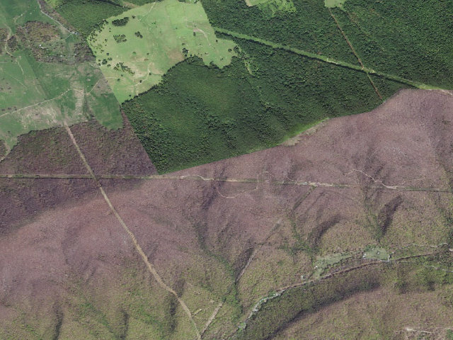Aerial image of Rice Fields A.T. Shelter