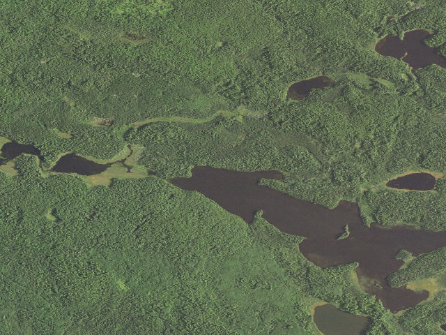 Aerial image of Rice Lake Site 1