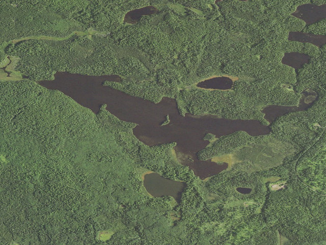 Aerial image of Rice Lake Site 2