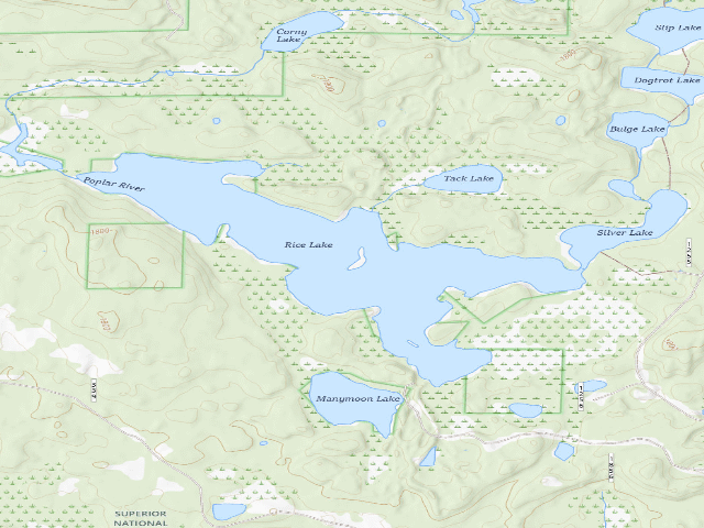 USGS topographic map of Rice Lake Site 2
