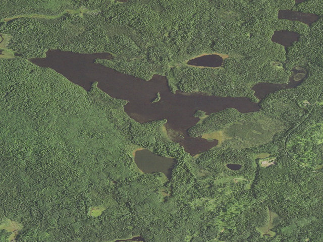 Aerial image of Rice Lake Site 3