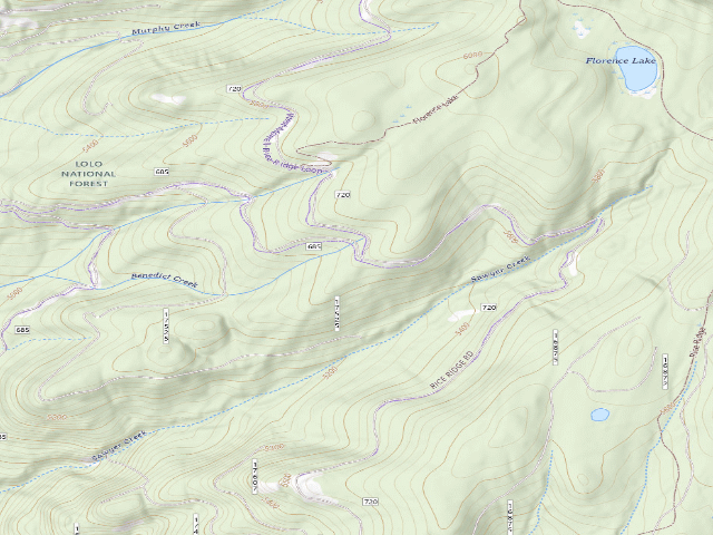 USGS topographic map of Rice Ridge 02