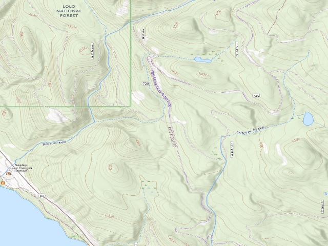 USGS topographic map of Rice Ridge 03