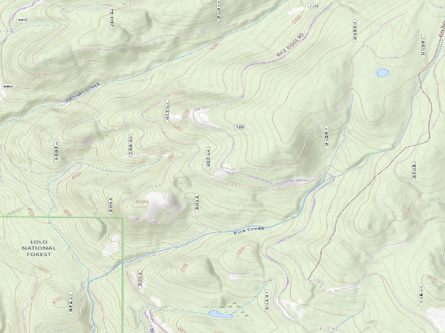 USGS topographic map of Rice Ridge 05