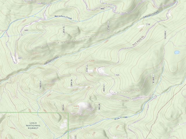 USGS topographic map of Rice Ridge 07