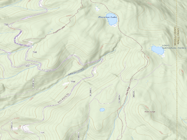 USGS topographic map of Rice Ridge 08