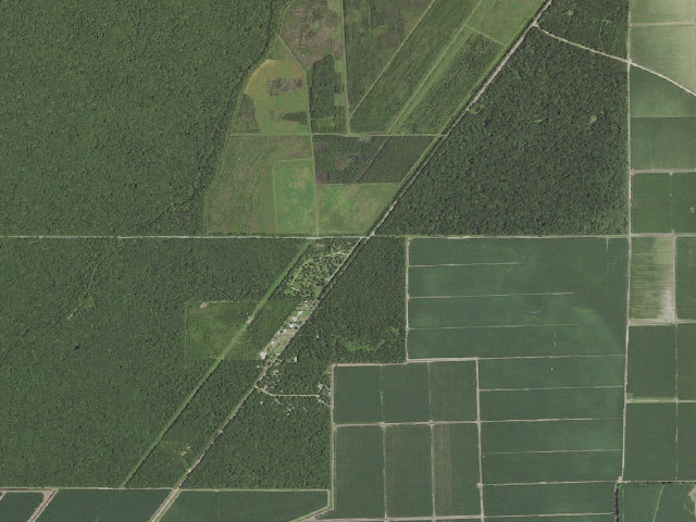 Aerial image of Richard K. Yancey WMA primitive camping area 3