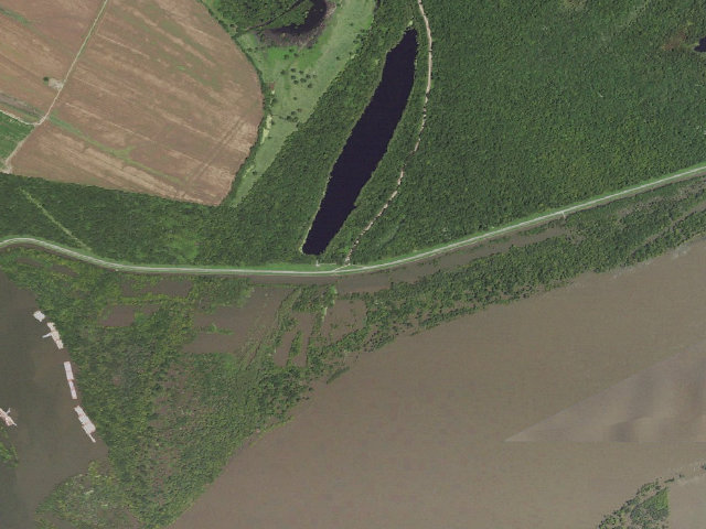 Aerial image of Richard K. Yancey WMA primitive camping area 4