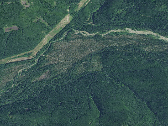 Aerial image of Riley Horse