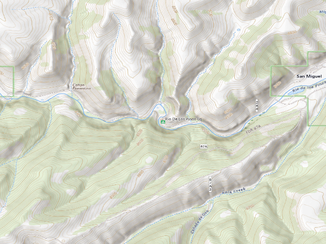 USGS topographic map of Rio De Los Pinos Cg