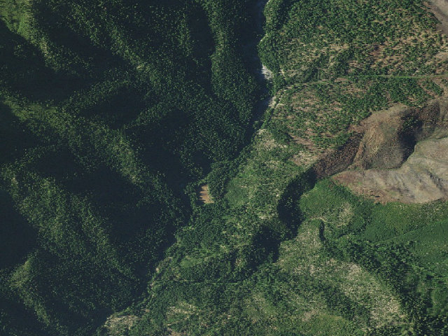 Aerial image of Ripstein Campground