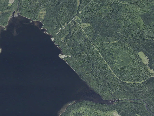 Aerial image of Roach Inlet (Moosehead Lake Shoreline Public Land)