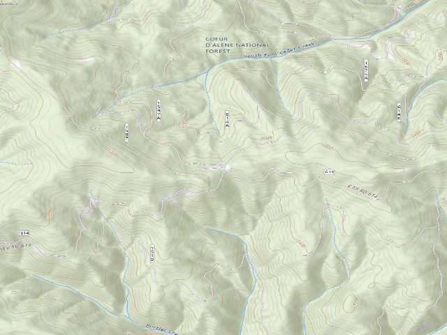 USGS topographic map of Road 1597 Site 1