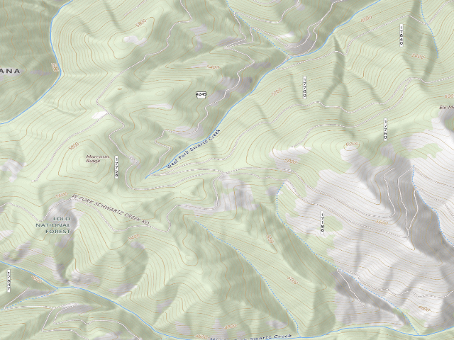 USGS topographic map of Road 4245