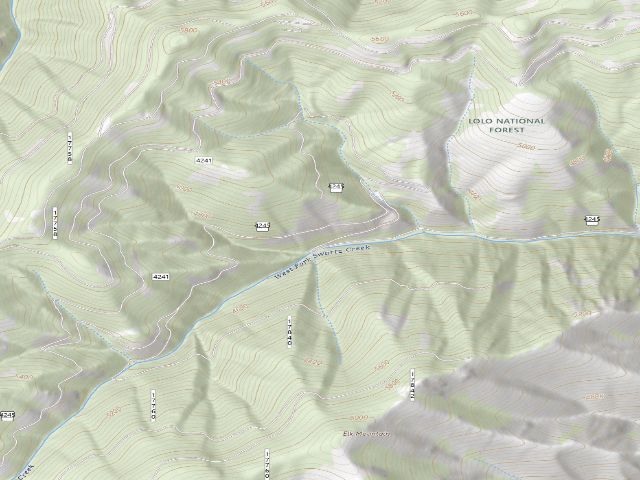 USGS topographic map of Road 4245