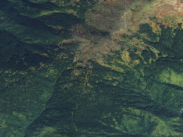 Aerial image of Road317-011